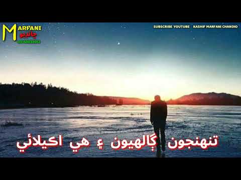 Sindhi Status // Tohnjon Yadon Ain He Akelai Sard Shamon Ain He Akelai