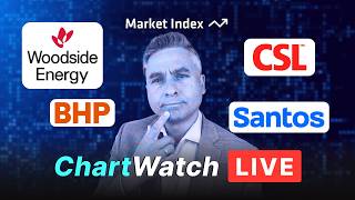 Best ASX blue chip shares to buy Expert analysis of CSL, COH, BHP, WDS, STO, copper & lithium