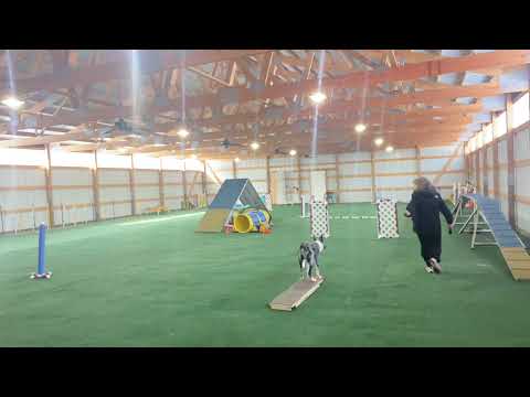 Zest lesson 5 on right