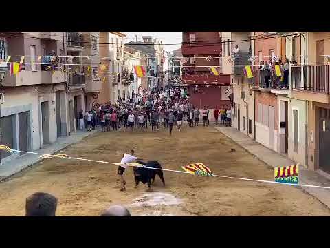 💯VAYA QUIEBRO❤️ ALFARA DEL PATRIARCA