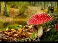 Lyktum - Autumn Mix 2013 