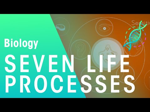 Seven Life Processes | Physiology | Biology | FuseSchool