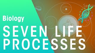 Seven Life Processes | Physiology | Biology | FuseSchool