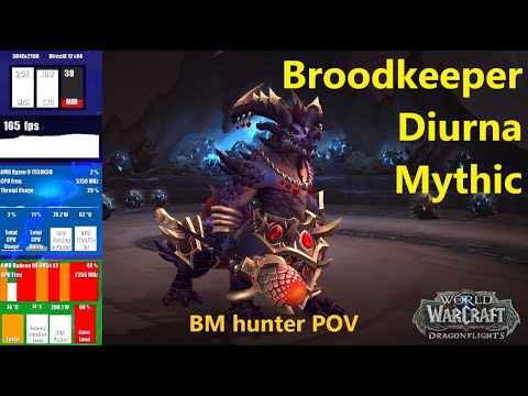 WoW: Clarity TM vs Broodkeeper Diurna Mythic | BM Hunter PoV | Benchmark on 7950x3D & 6950XT