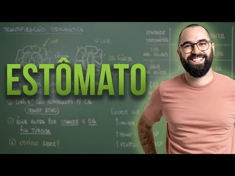 Estômato (transpiração estomática) - Fisiologia Vegetal - Aula 25: Botânica (Prof. Guilherme)
