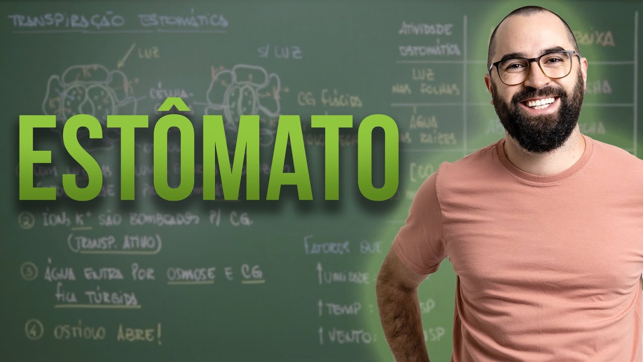 Estômato (transpiração estomática) - Fisiologia Vegetal - Aula 25: Botânica (Prof. Guilherme)
