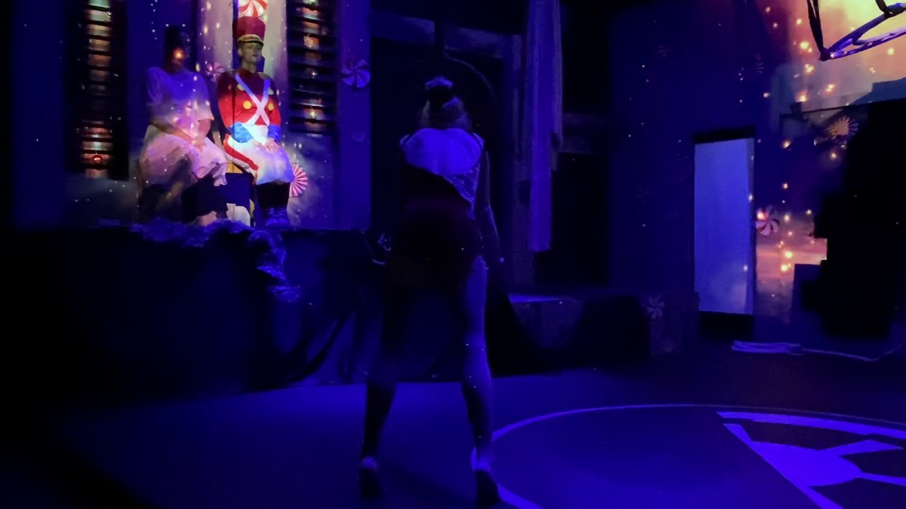 Promotional video thumbnail 2 for KC Hyland- Aerial Hoop Artist