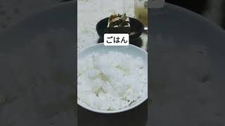 今日の朝ごはん