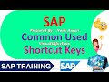 Commonly Used SAP Shortcut Keys