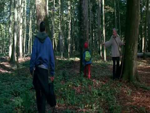 IP5 - Ile aux Pachydermes  - "Une partie de l´univers".wmv