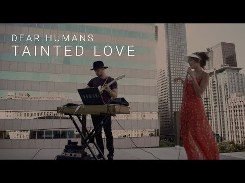 Dear Humans - Tainted Love (live cover)