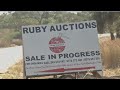 Ex Zimbabwe S President Mugabe S Diary Farm Equipment Auctioned