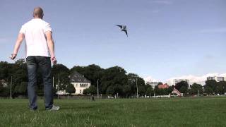 2010.08.12 Nirvana SE