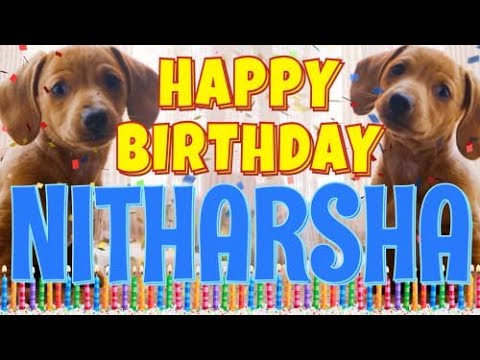 Happy Birthday Nitharsha! ( Funny Talking Dogs ) What Is Free On My Birthday