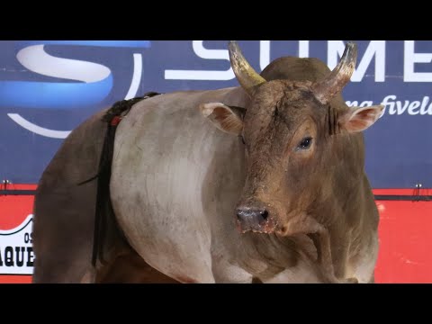 FINAL EM TOUROS - EMILIANÓPOLIS Rodeio Show 2023 (Oficial 4K)