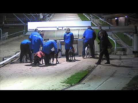 Dunbolg Hanna - Coral Brighton Belle - Heat 2