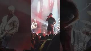 Botch- Hives (Live Clip 2023) #shorts