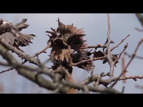 Naše dobro ep. 91 25.04.2020. NAJAVA