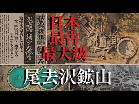 なぜツゲの蛾捕りを作るのですか？万全の予防！  庭園