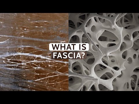 Fascia: The Hidden Network | Community Health