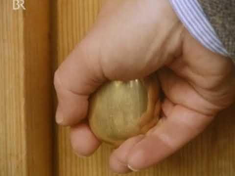 Unter unserem Himmel: Die Tür Doku (1980)