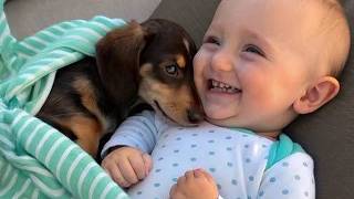 When Your Dog Becomes the Loyal Babysitter ❤️