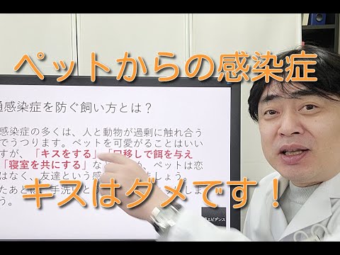 犬のエールリヒア症:感染症の認識と治療