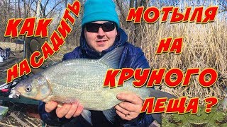 Фидер на москве реке летом 2020