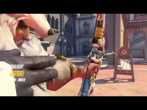 the wolf stalks its prey