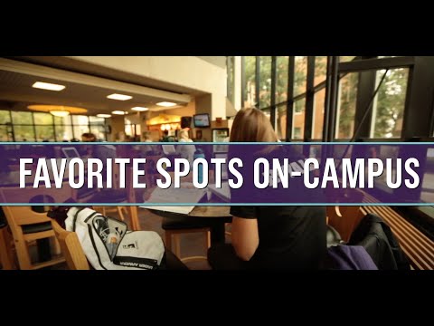 Favorite Spots on Campus