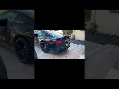 Ford Shelby GT500 #shorts #luxury cars #261