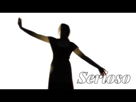 Serioso - The Beat Logs