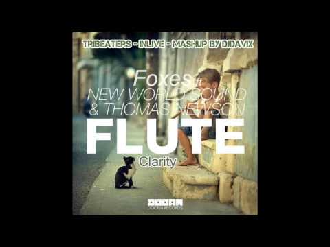 New World Sound & Thomas Newson ft Foxes - Clarity Flute (TribEaters INLIVE mashup by DjDavix)