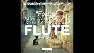 New World Sound & Thomas Newson ft Foxes - Clarity Flute (TribEaters INLIVE mashup by DjDavix)