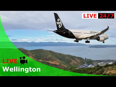 Wellington Harbour View