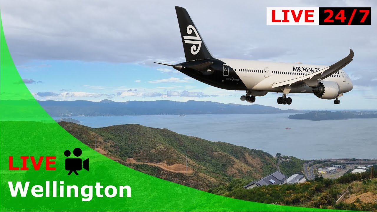 Live webcam view of Wellington Harbour Hilltop Panorama