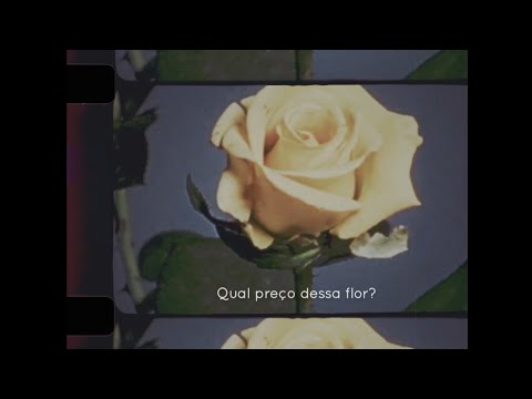 O Preço Da Flor - Mallu Magalhaes