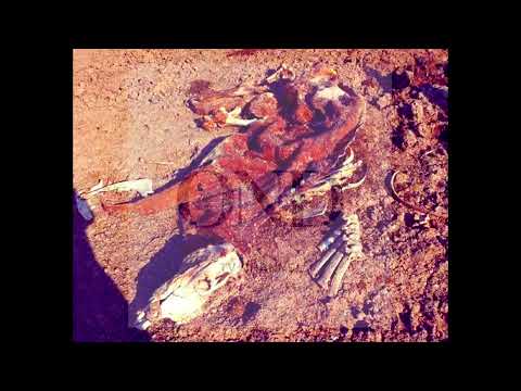 Misterio:  Apareció un Chupacabras (General San Martín - Chaco - Argentina) Año 2022