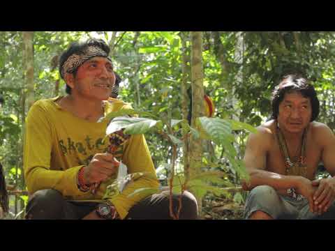 Txana Txanu Huni Kuin - Rezo sagrado Shuru Rume Yuxibu