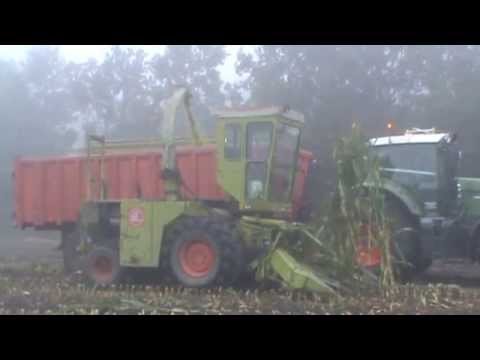 Landb. Van Dooren - Zele - Claas SF 80
