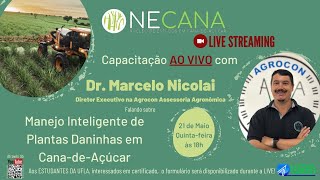 Manejo Inteligente de Plantas Daninhas em Cana-de-Açúcar