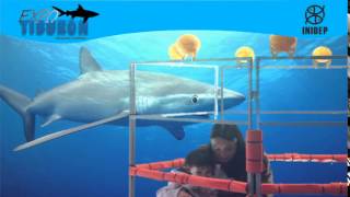 DIA 2 Expo Tiburon96