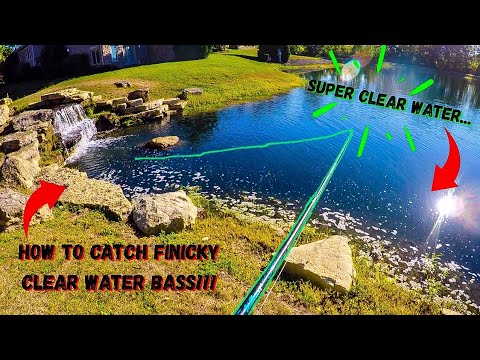 How to Fish for ULTRA CLEAR WATER for Finicky BASS!!! (weightless swimbaits can be deadly)