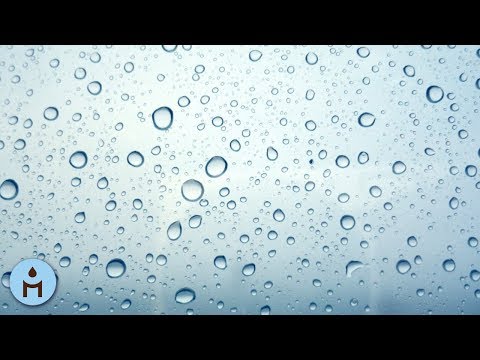 Rain Sounds 10 Hours:The Sound of Rain Meditation,Autogenic Training,Deep Sleep,Relaxing Sounds ❀801