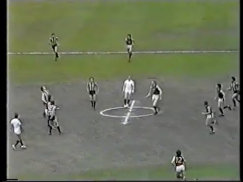 1981 First Semi Final - Collingwood vs Fitzroy (Last half).