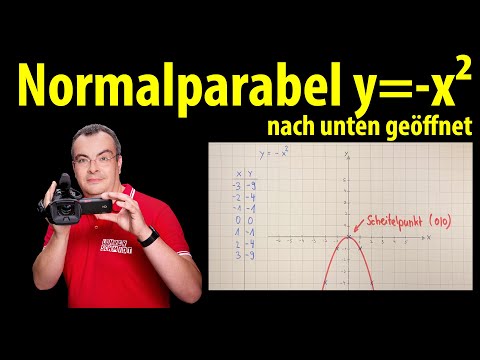 Standard parabola y=-x² quadratic function opening downwards | Teacher Schmidt