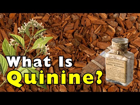 What Is Quinine? | From Malaria Cure to Cocktail Staple