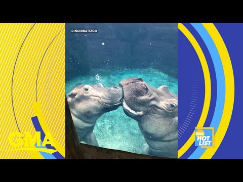 ‘GMA’ Hot List: Fiona the hippo celebrates her 3rd birthday