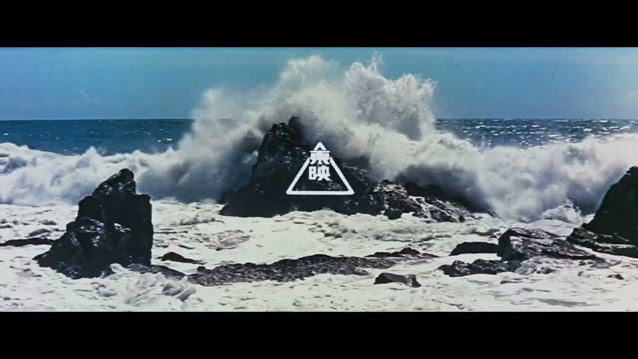 Well Go USA Entertainment/Toei Company, LTD. (11 rebels variant) (2025/2024)