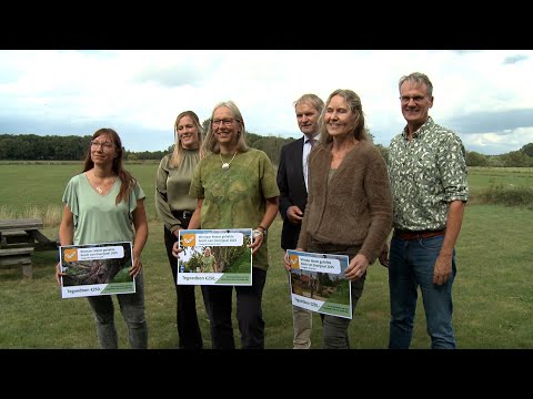 Prijzen voor "Mooiste bomen van Overijssel" in Schalkhaar: "Het gaat om het verhaal van de bomen"